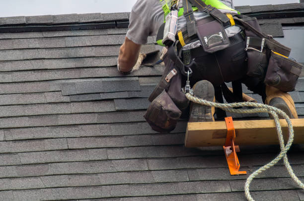 Best Roof Repair Services  in Memphis, MI