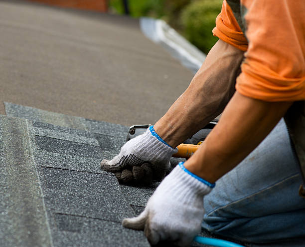 Best Roof Waterproofing Services  in Memphis, MI