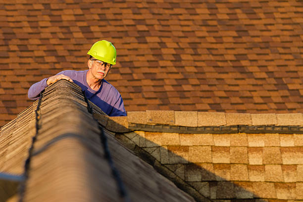 Best Local Roofing Companies  in Memphis, MI