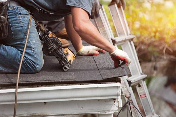 Best Roof Gutter Cleaning  in Memphis, MI