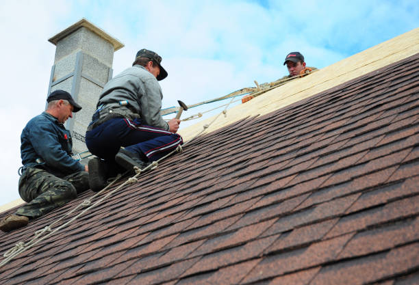 Best Residential Roofing Contractor  in Memphis, MI