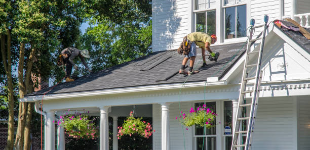 Best New Roof Installation  in Memphis, MI