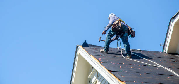 Best Roof Restoration Services  in Memphis, MI