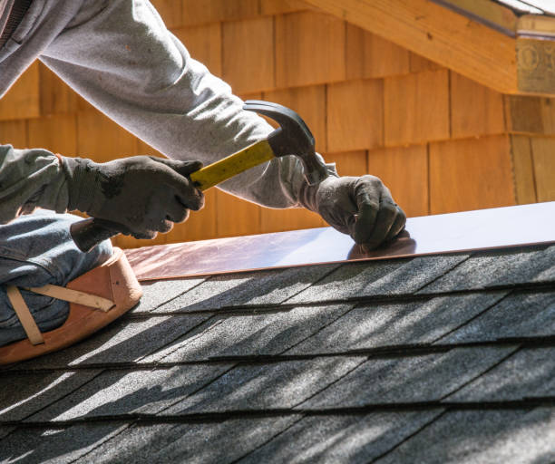 Best Roof Maintenance Services  in Memphis, MI